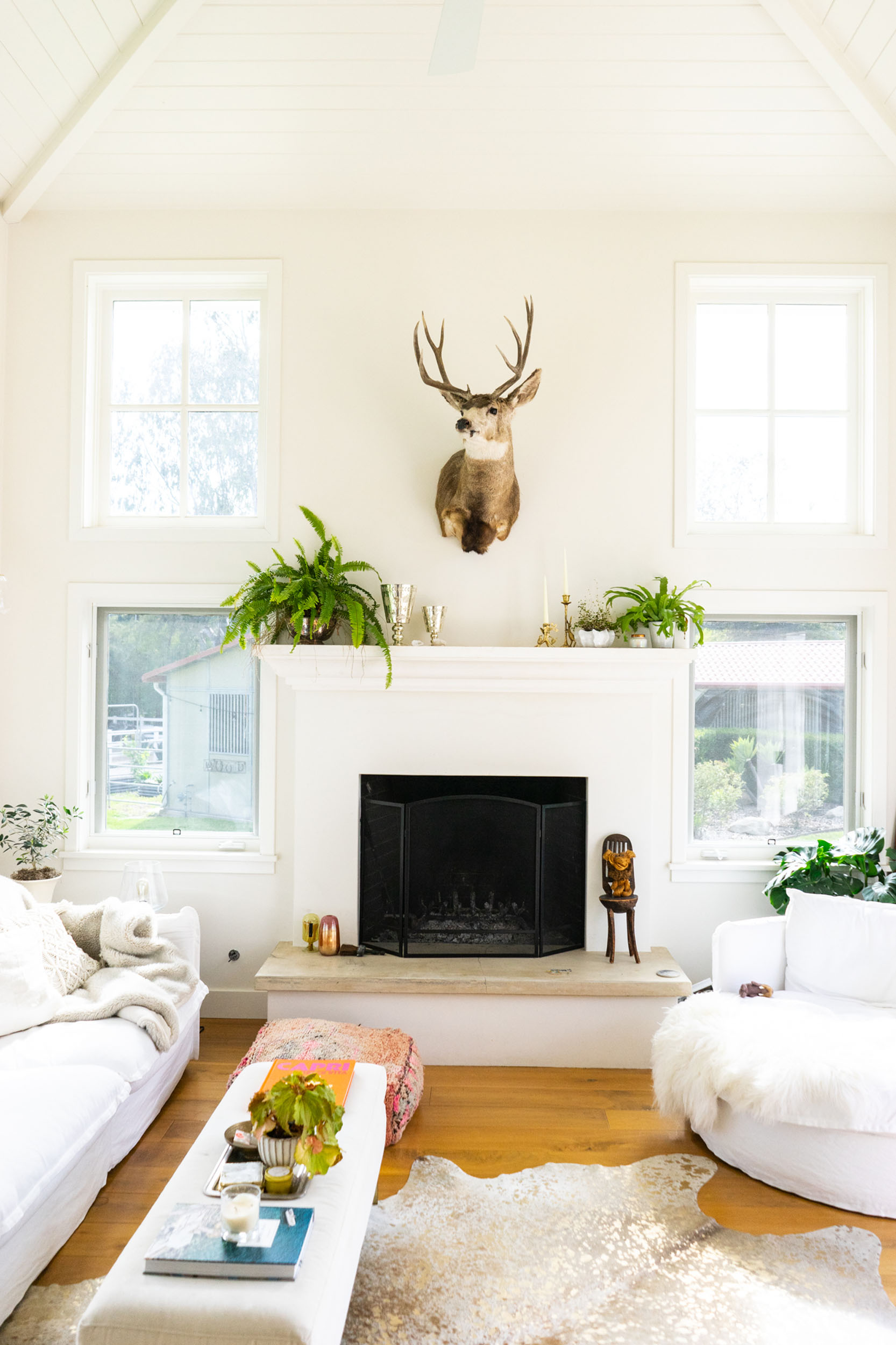 Bright, high-ceiling living room interior featuring a white fireplace mantel adorned with potted ferns, flanked by large windows and centered beneath a mounted deer head