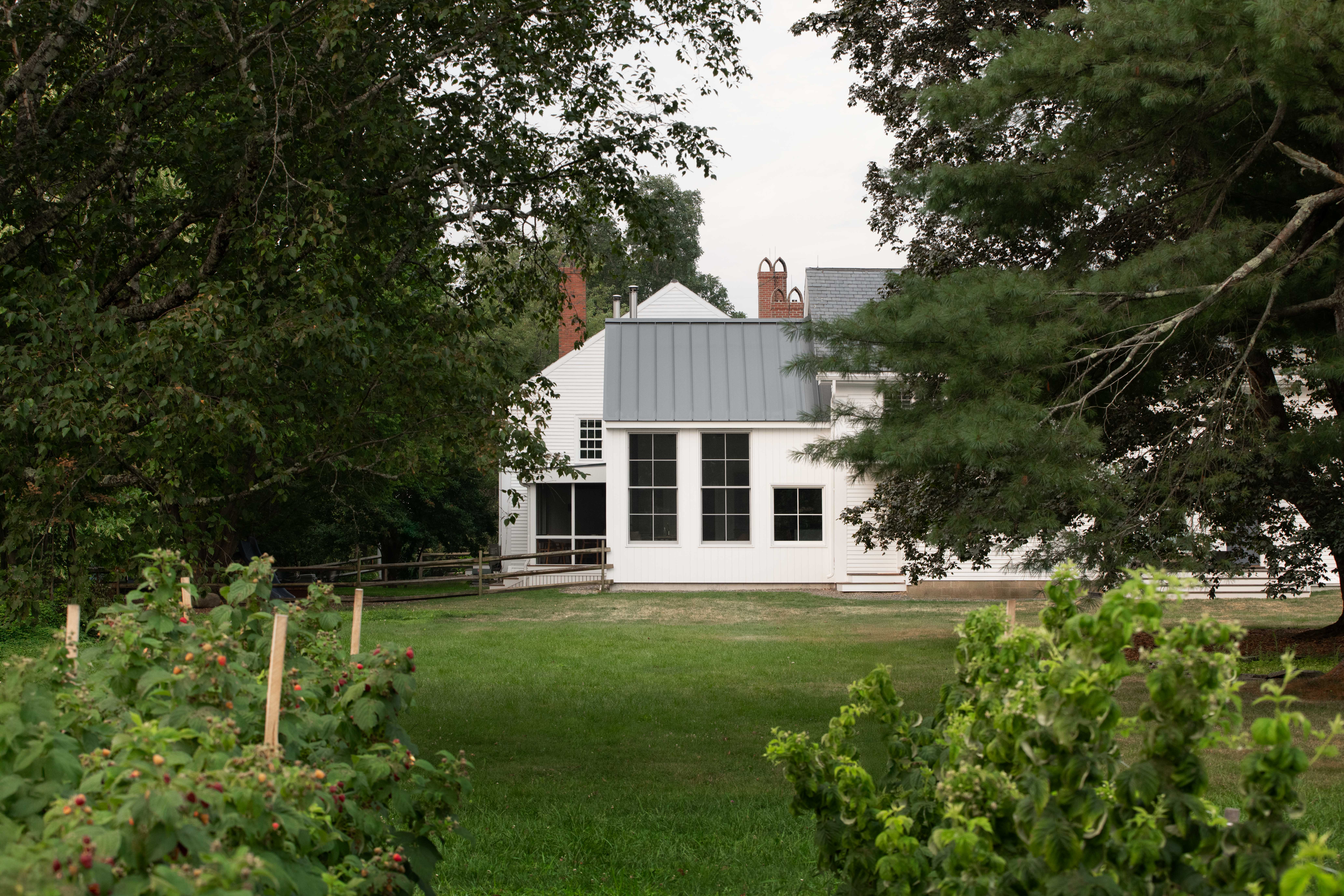 Modern white board-and-batten home addition featuring tall multi-pane sash windows and a dark standing-seam metal gable roof beside a grassy yard